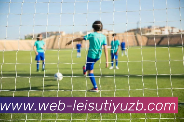 雷速体育直播发展历程