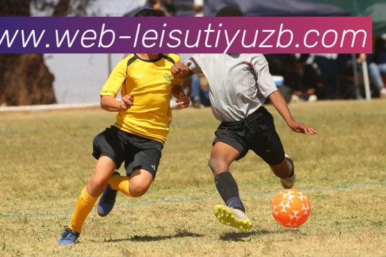 雷速体育直播全站App